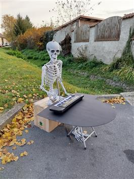 Halloween 2024&nbsp;15